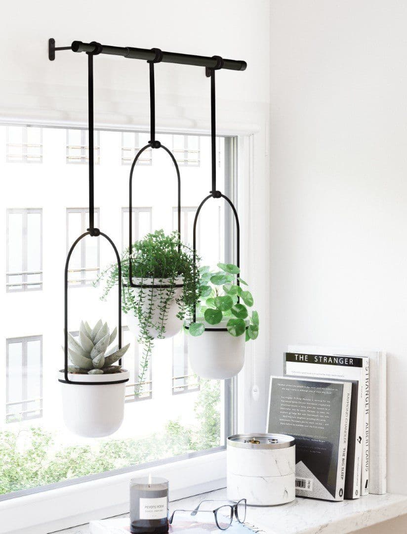 Plantenhanger Inspiratie voor Muur en Plafond